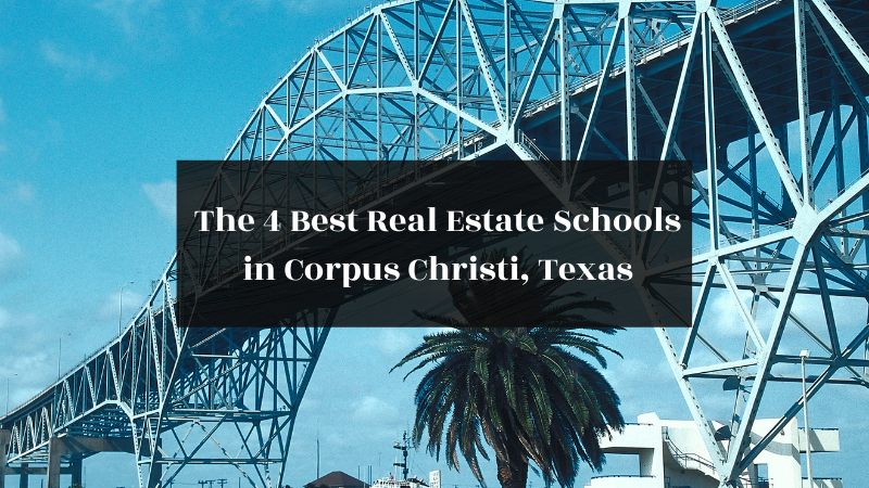 The 4 Best Real Estate Schools in Corpus Christi, Texas featured image